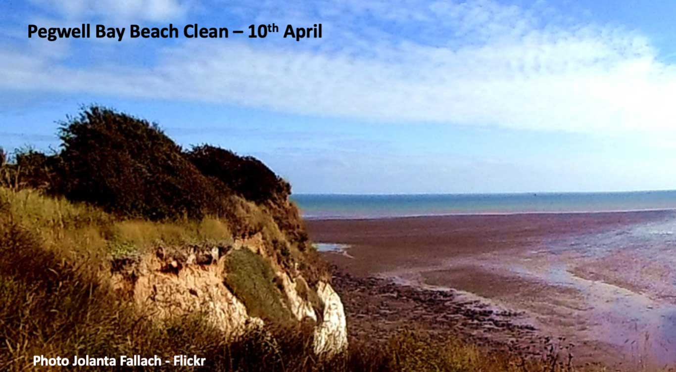 Pegwell Beach Clean