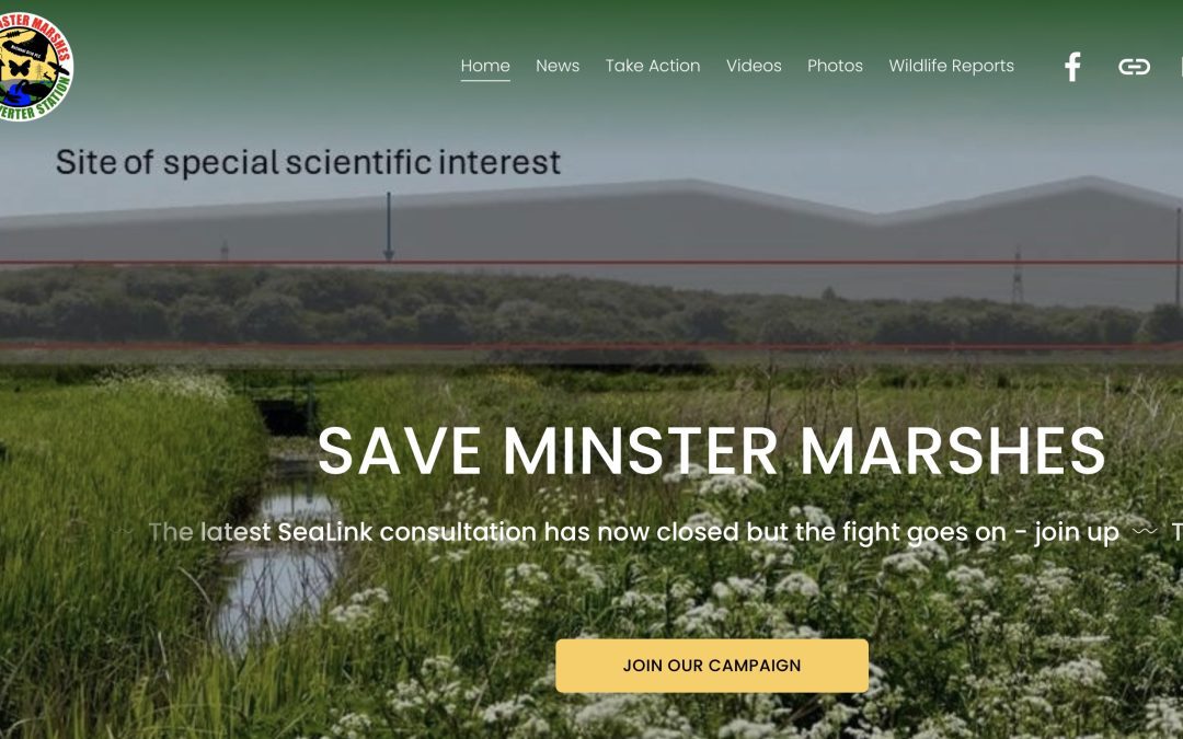 Our Submission to the Latest Minster Marshes Consultation